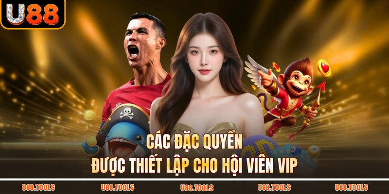 Các đặc quyền được thiết lập cho hội viên VIP