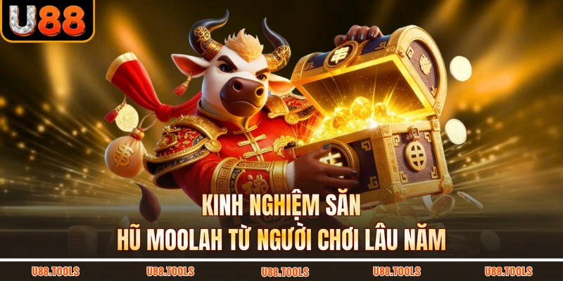 Kinh nghiệm săn hũ Moolah từ người chơi lâu năm
