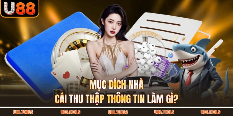 Mục đích nhà cái thu thập thông tin làm gì?